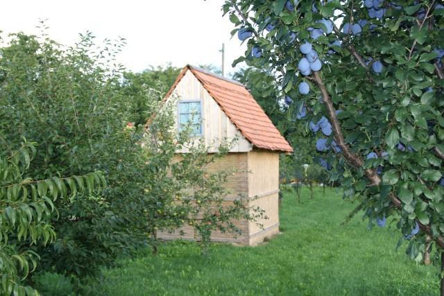 Country house Seoski Turiziam Larva *