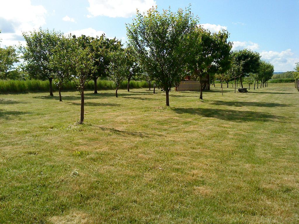 Country house Seoski Turiziam Larva