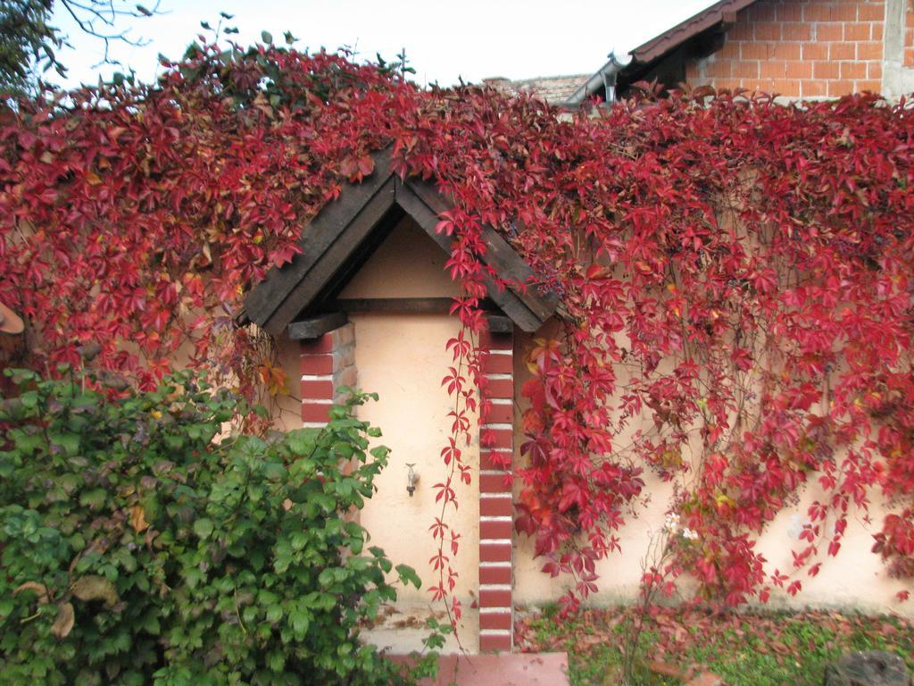 Country house Seoski Turiziam Larva