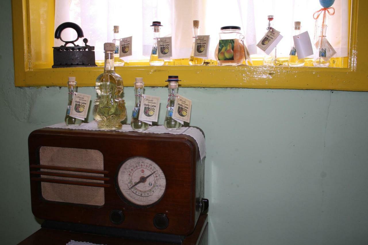 Seoski Turiziam Larva Country house Trenkovo